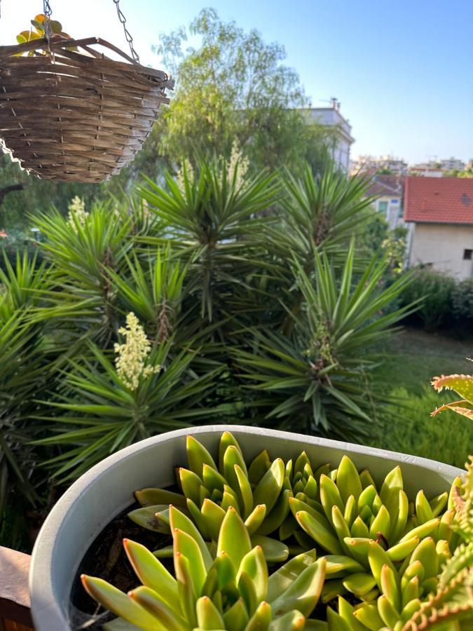 Location De Chambre Privee Dans Residence Prive, Jardins Et Parking Gratuit 1 Min To Tramway Et 9 Min De Centre-Ville, Accessibilite A Plusieurs Transports Nice Eksteriør bilde